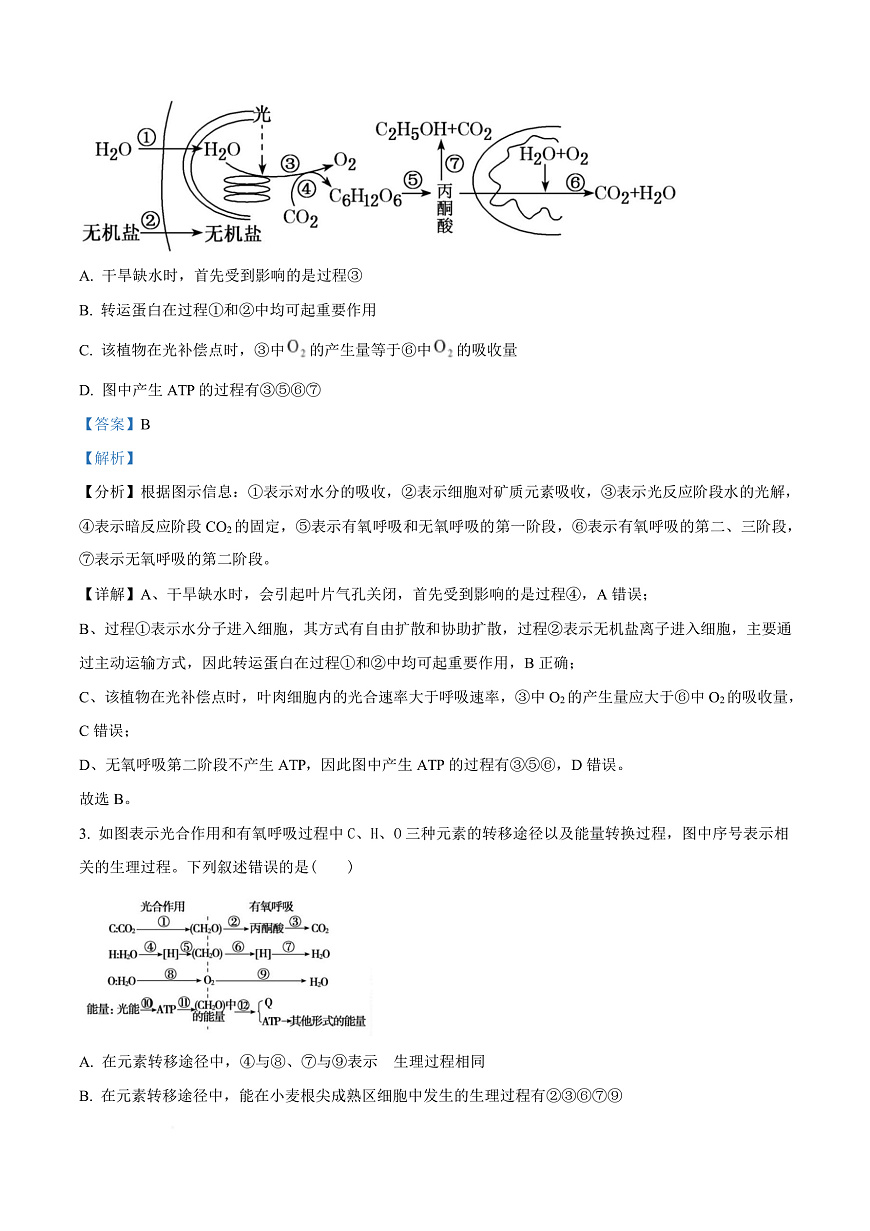 河南省信阳高级中学2025-2026学年高二上学期开学考试 生物答案第3页