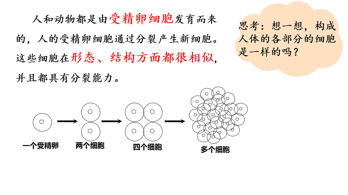 17358976第2页