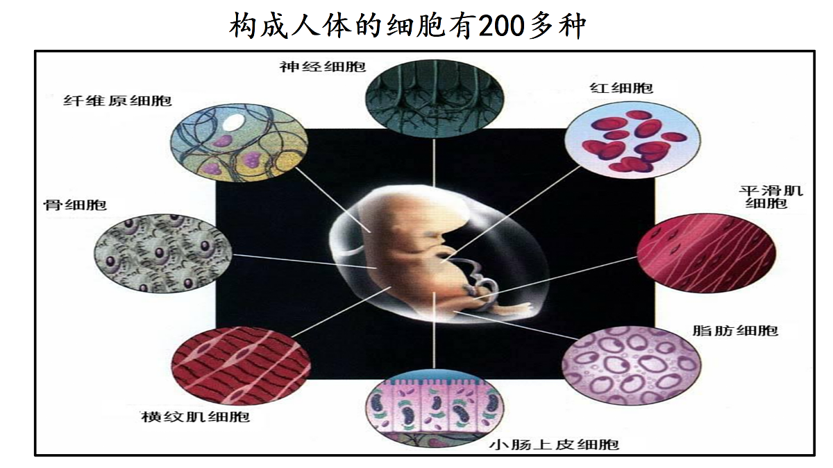 17358976第3页