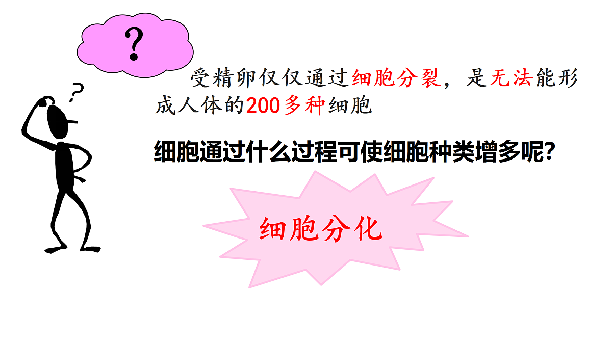 17358976第4页