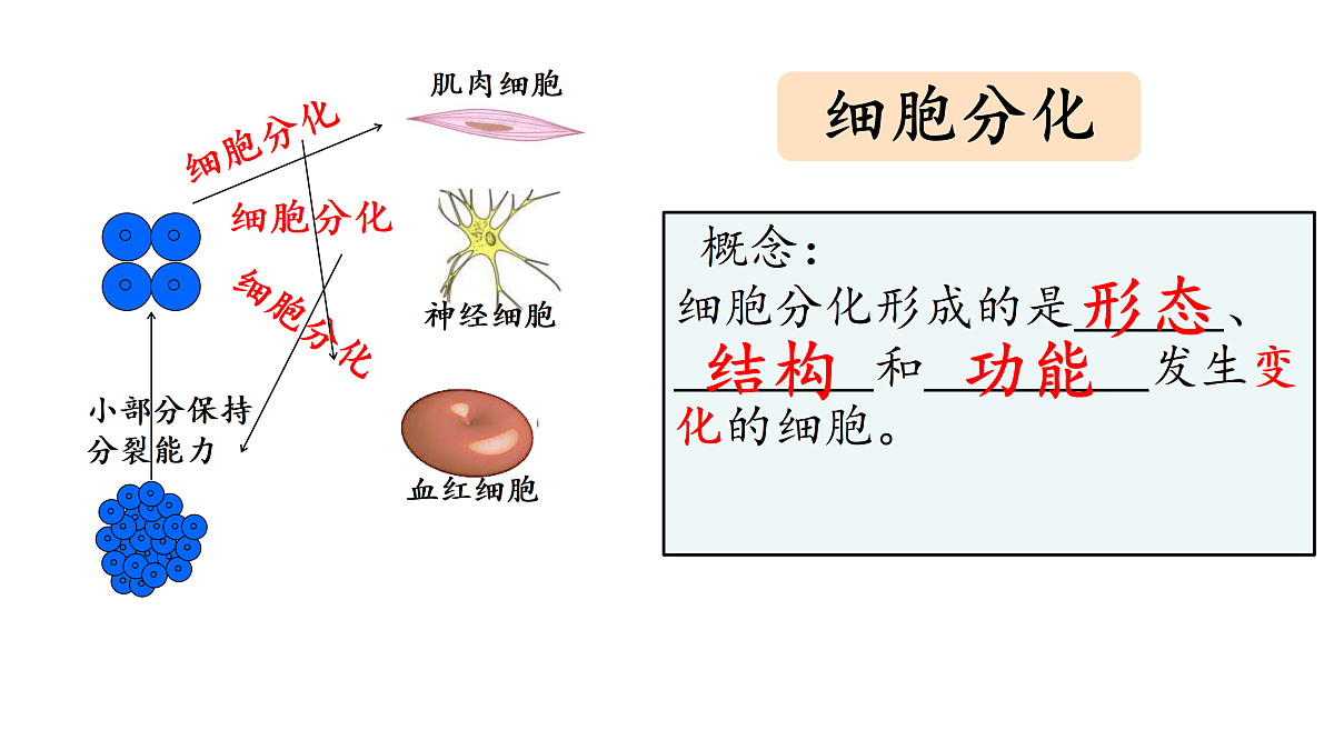 17358976第5页
