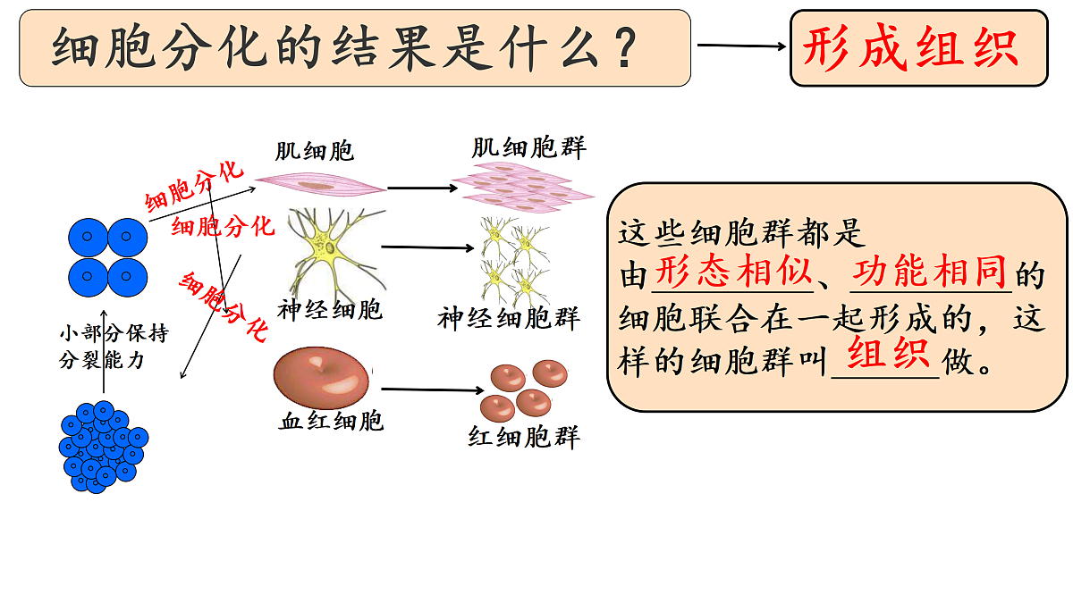 17358976第6页