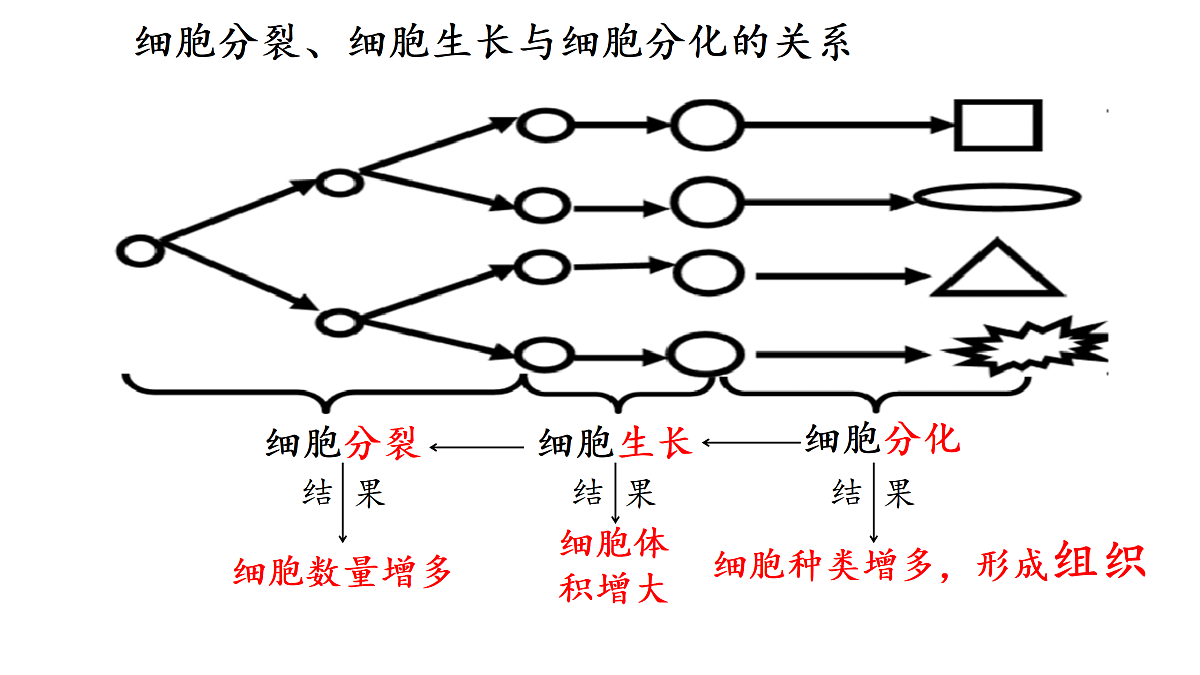 17358976第7页