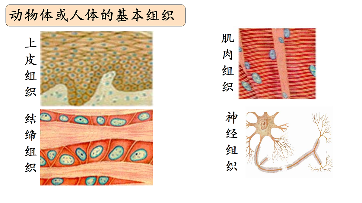 17358976第8页