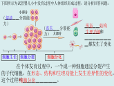 初中  生物  人教版（2024）  七年级上册1.3.2 动物体的结构层次 课件