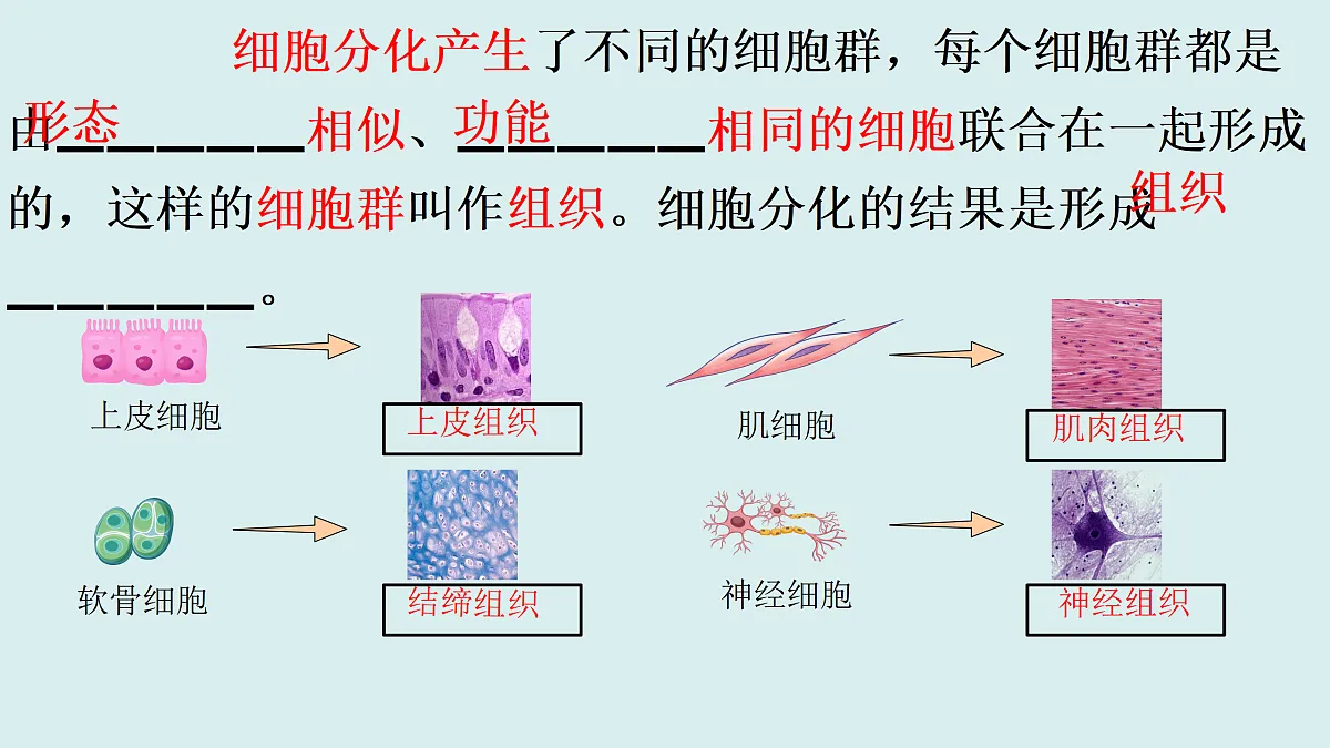 17358977第5页