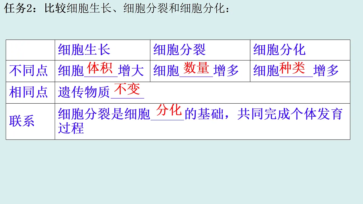 17358977第6页