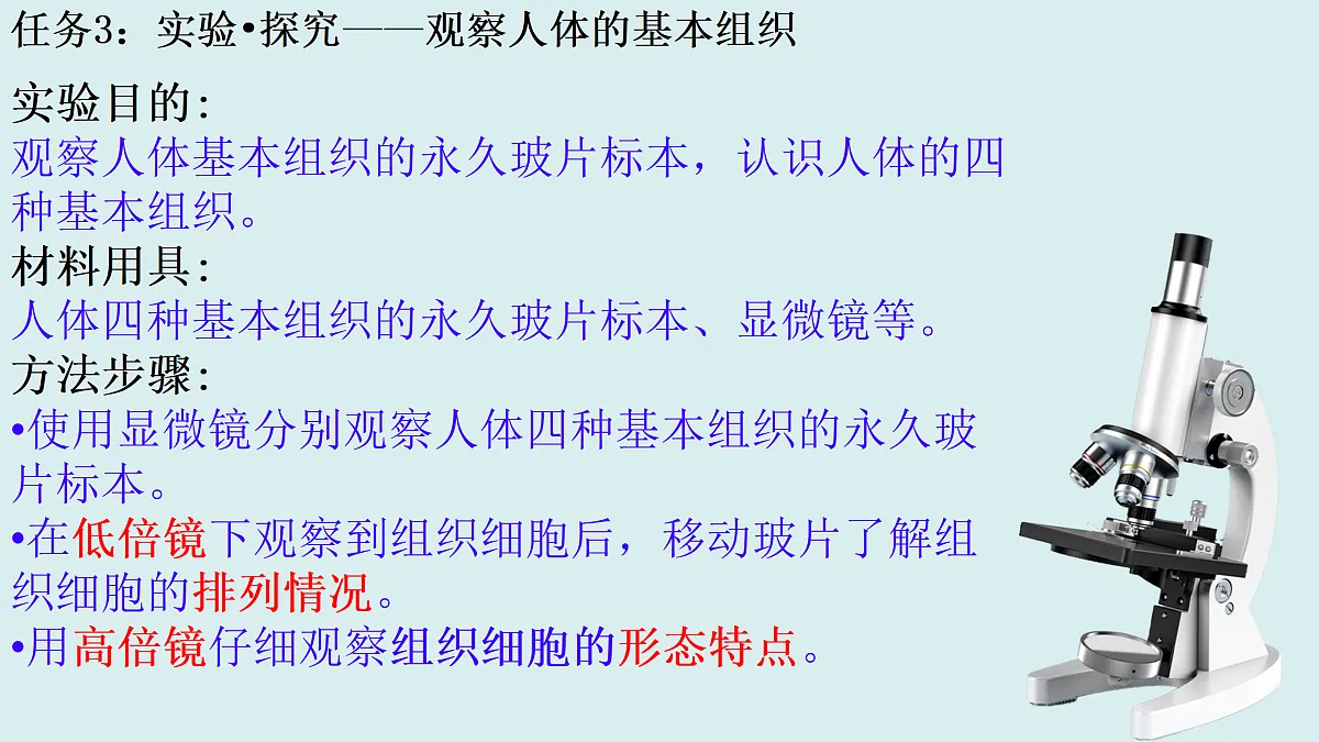 17358977第7页