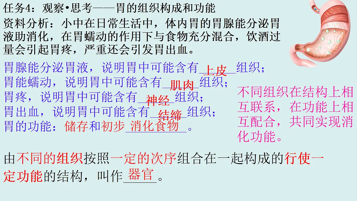 17358977第8页