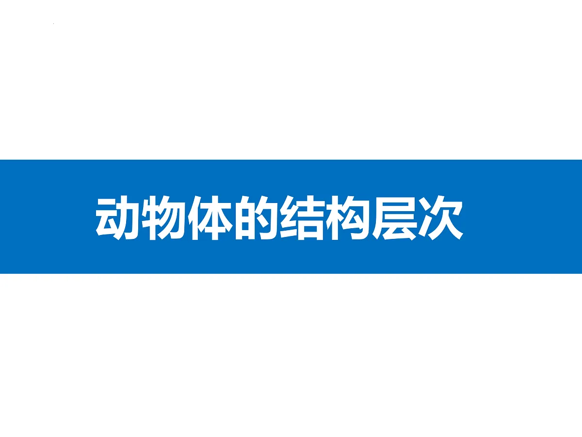 17358978第1页