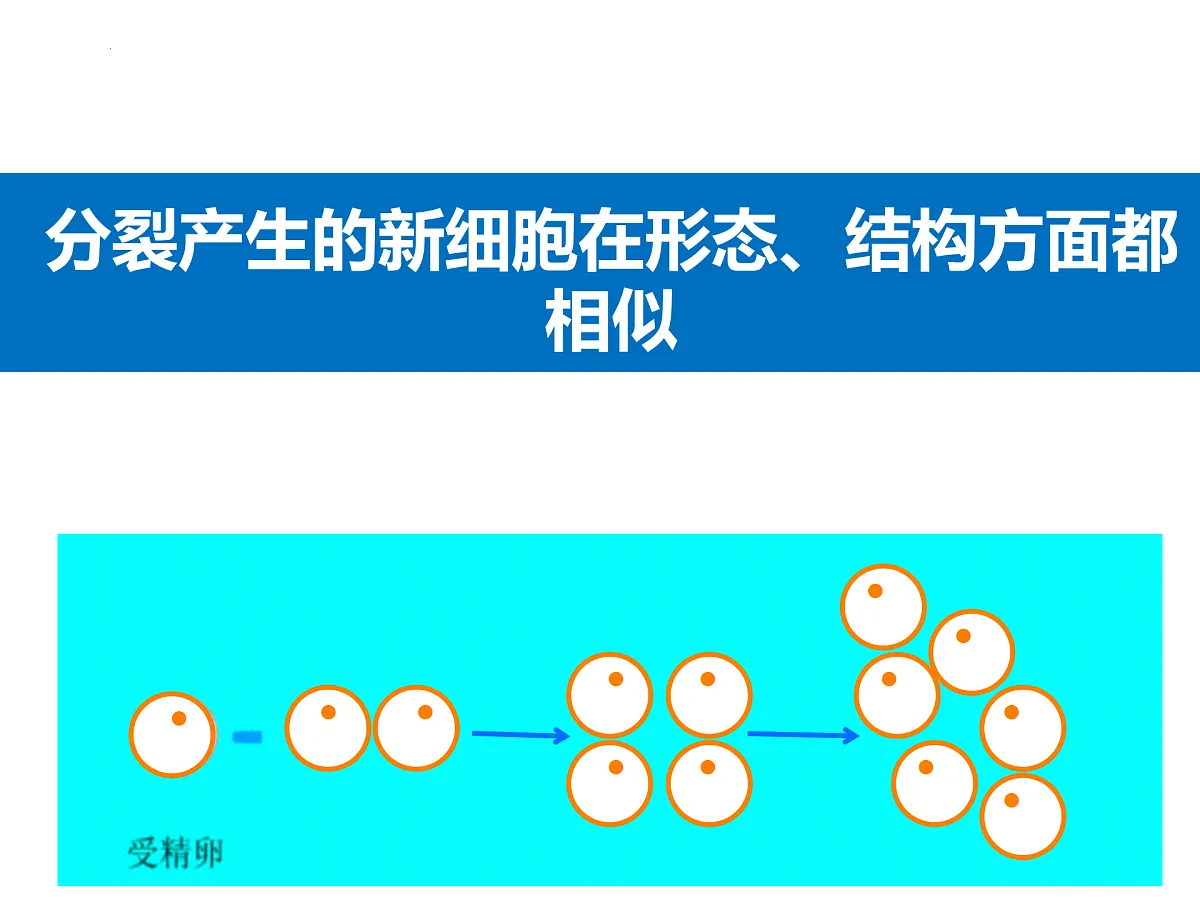 17358978第3页