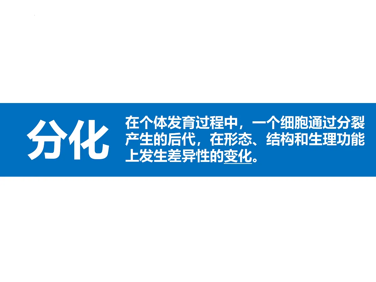 17358978第4页