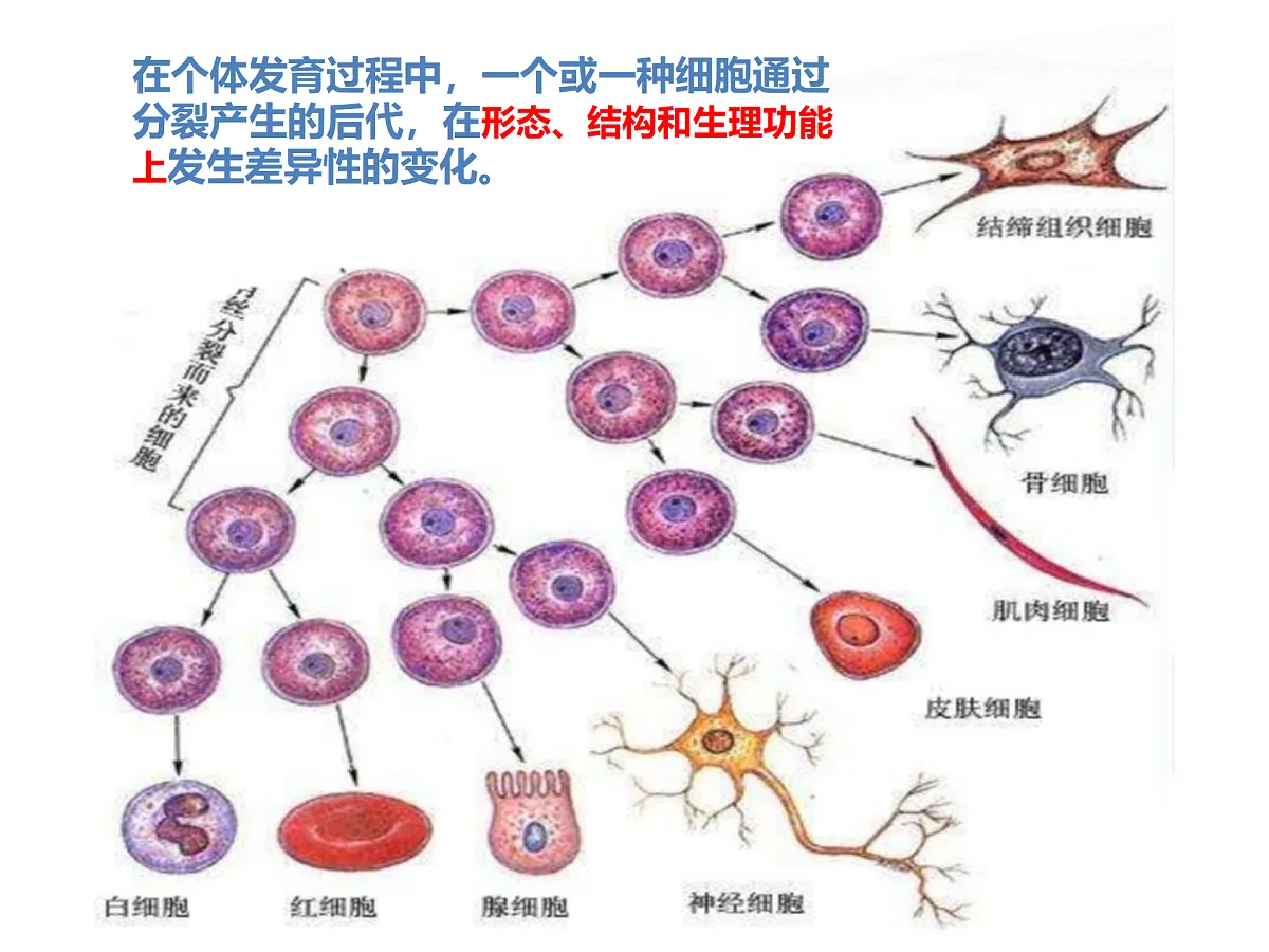 17358978第5页