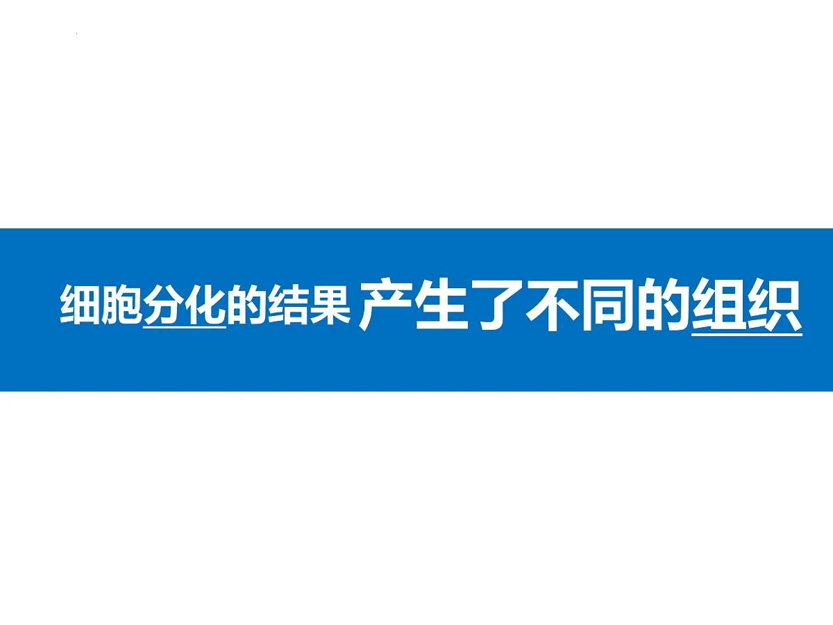 17358978第6页