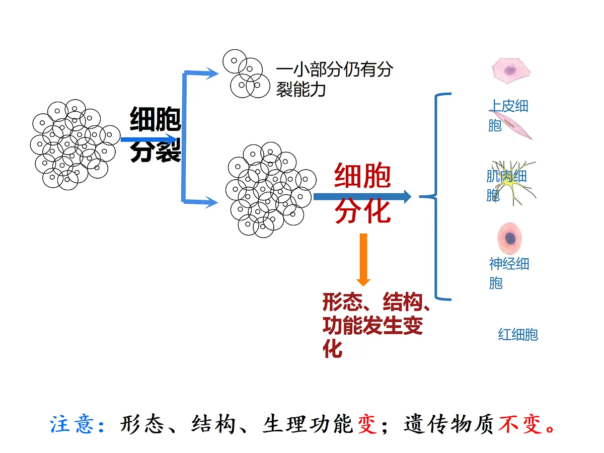17358978第7页