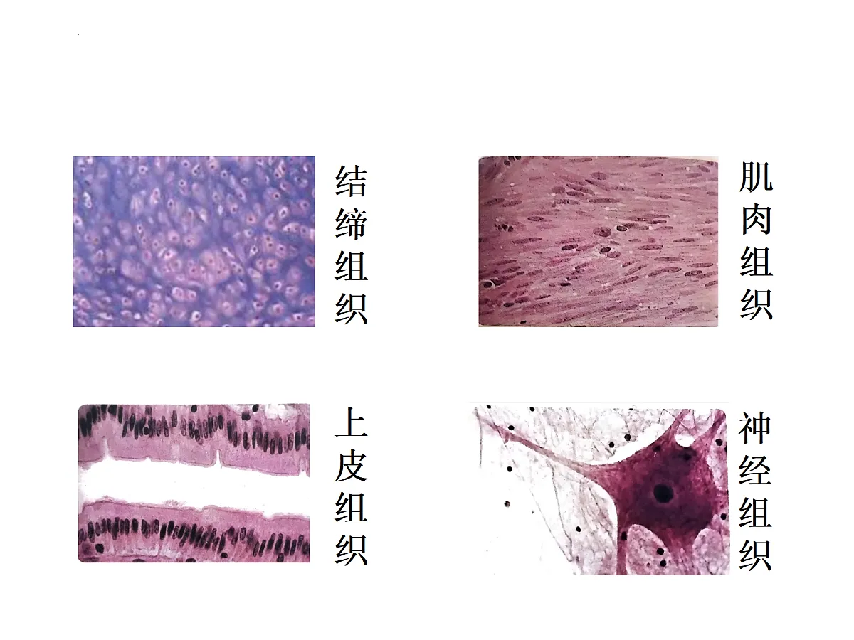 17358978第8页