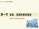 2.1.1藻类、苔藓植物和蕨类植物-第2课时教学课件-----2025年人教版（2024）生物七年级上册