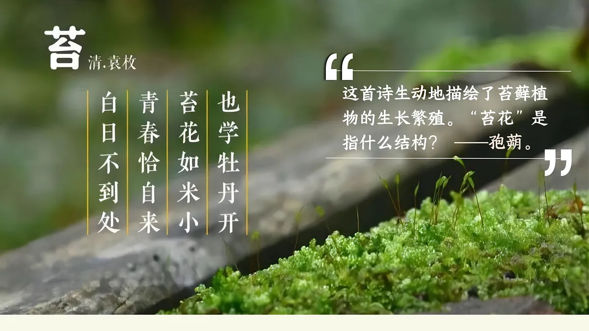 17358989第4页