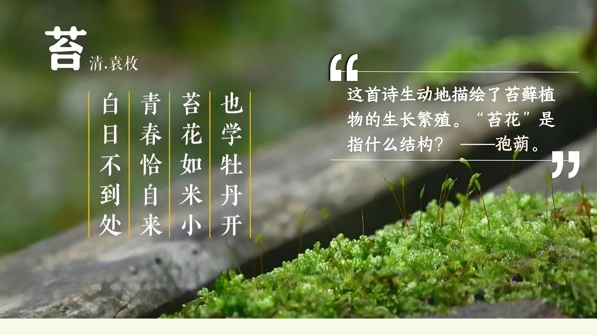 17358989第4页