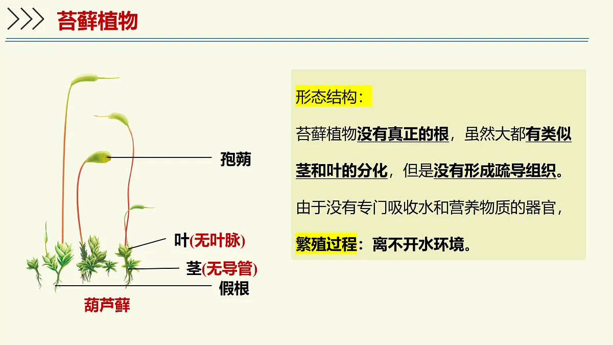 17358989第5页