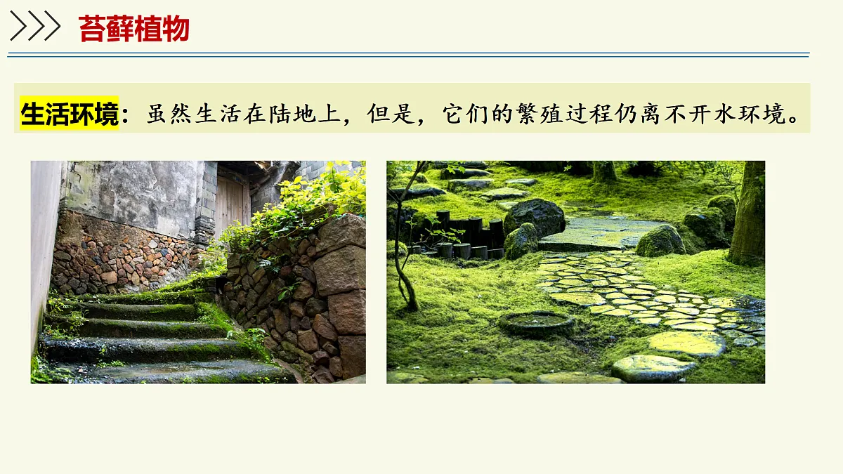17358989第6页