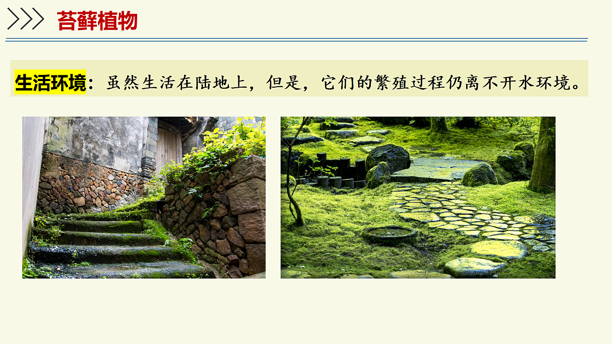 17358989第6页
