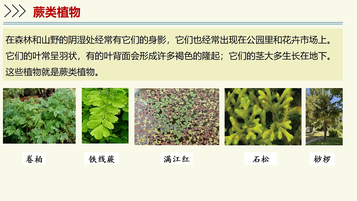 17358989第7页