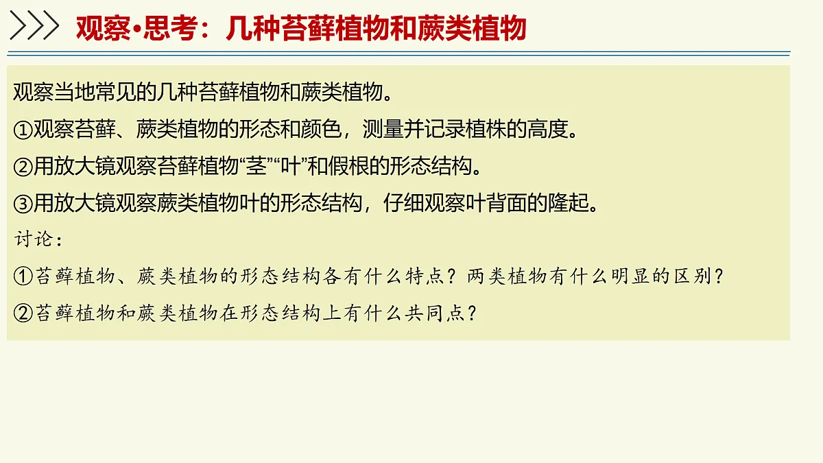 17358989第8页