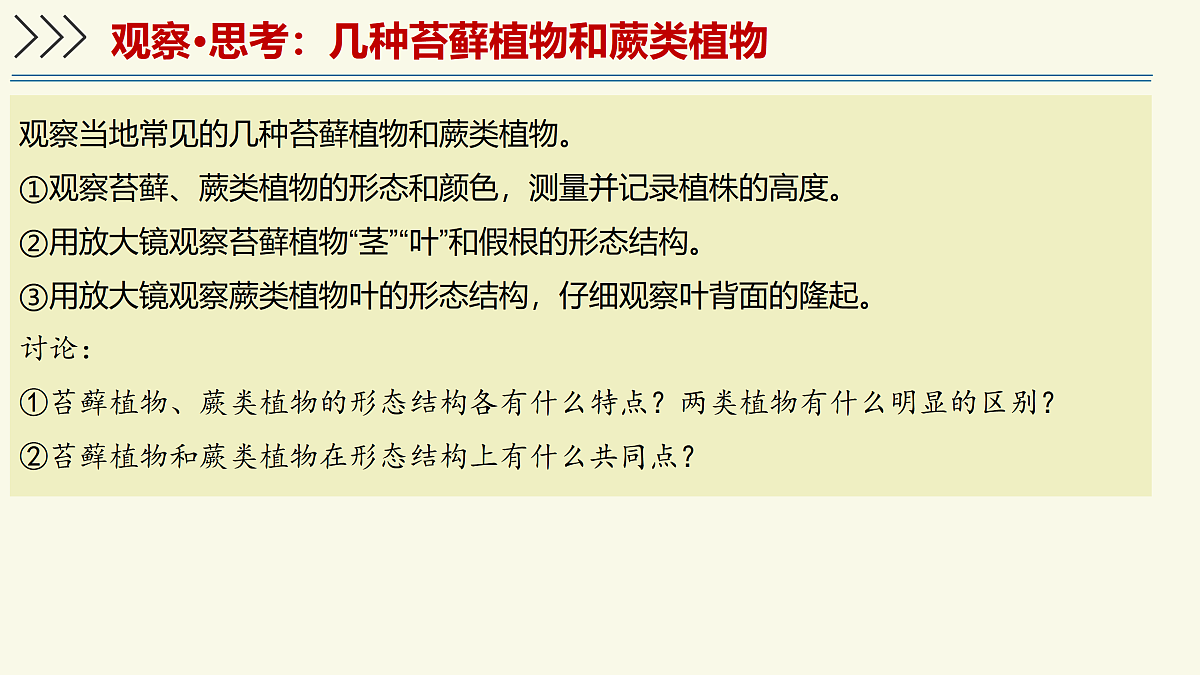 17358989第8页
