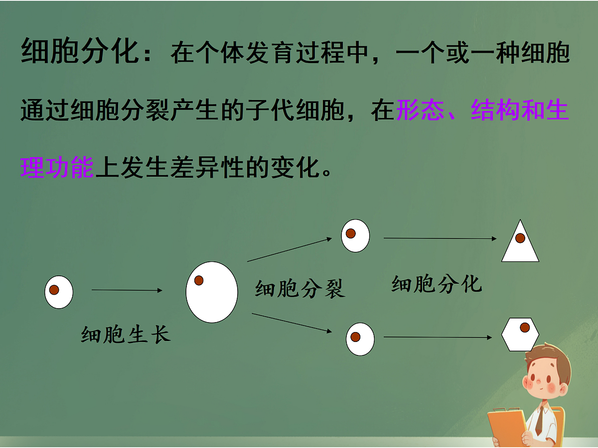 17359049第2页