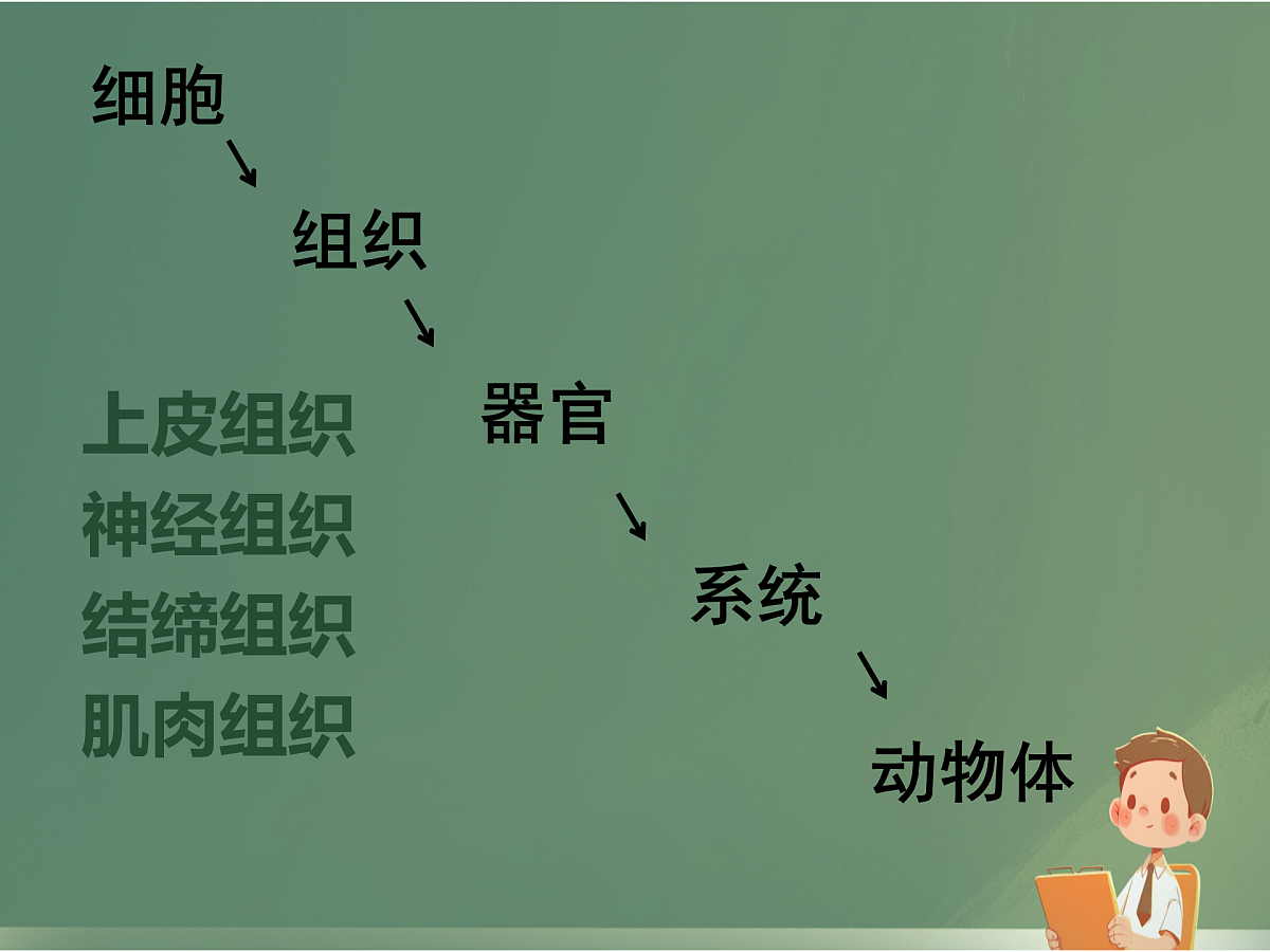 17359049第4页