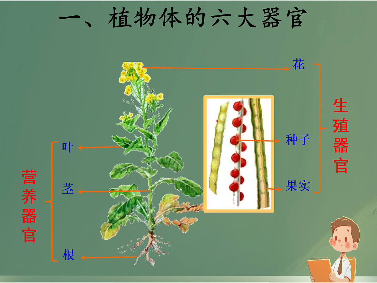 17359049第5页