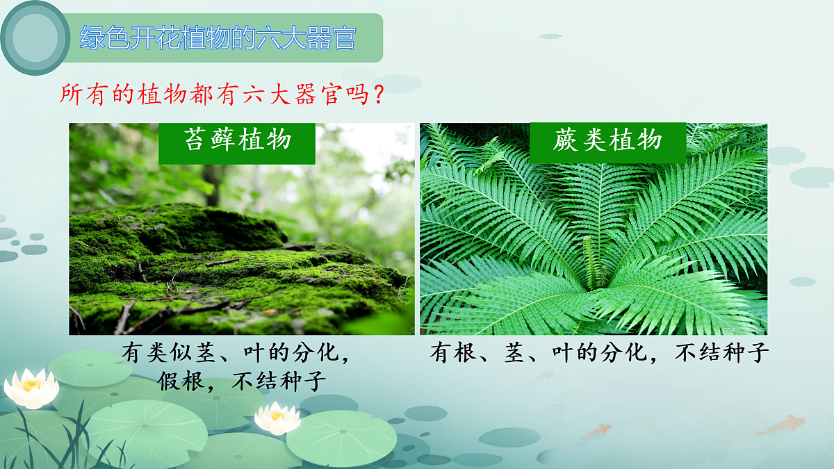 17359050第7页