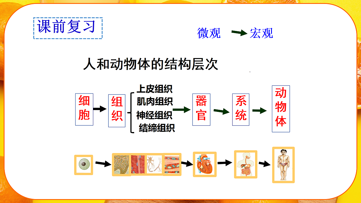 17359051第1页