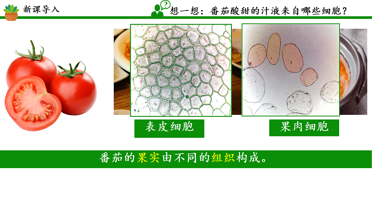 17359051第3页