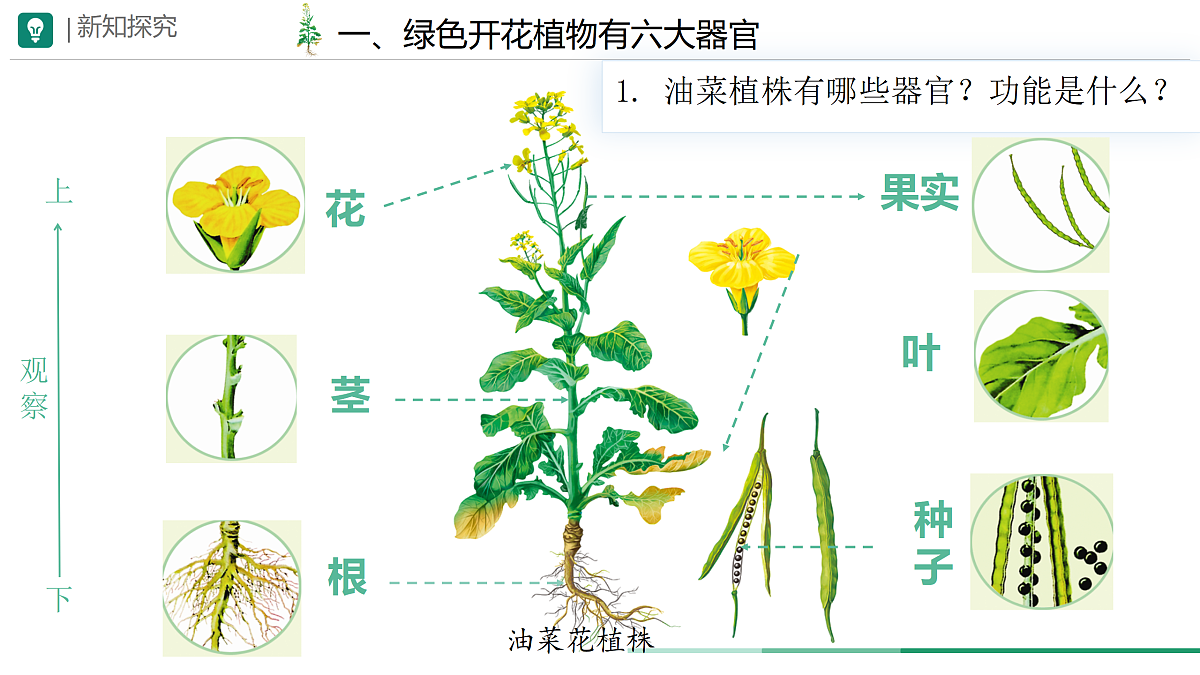 17359051第6页