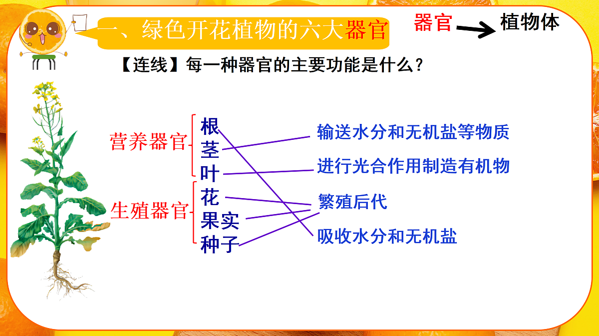 17359051第7页