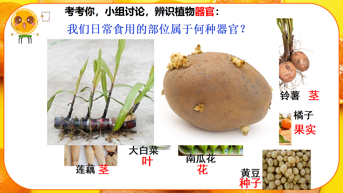 17359051第8页