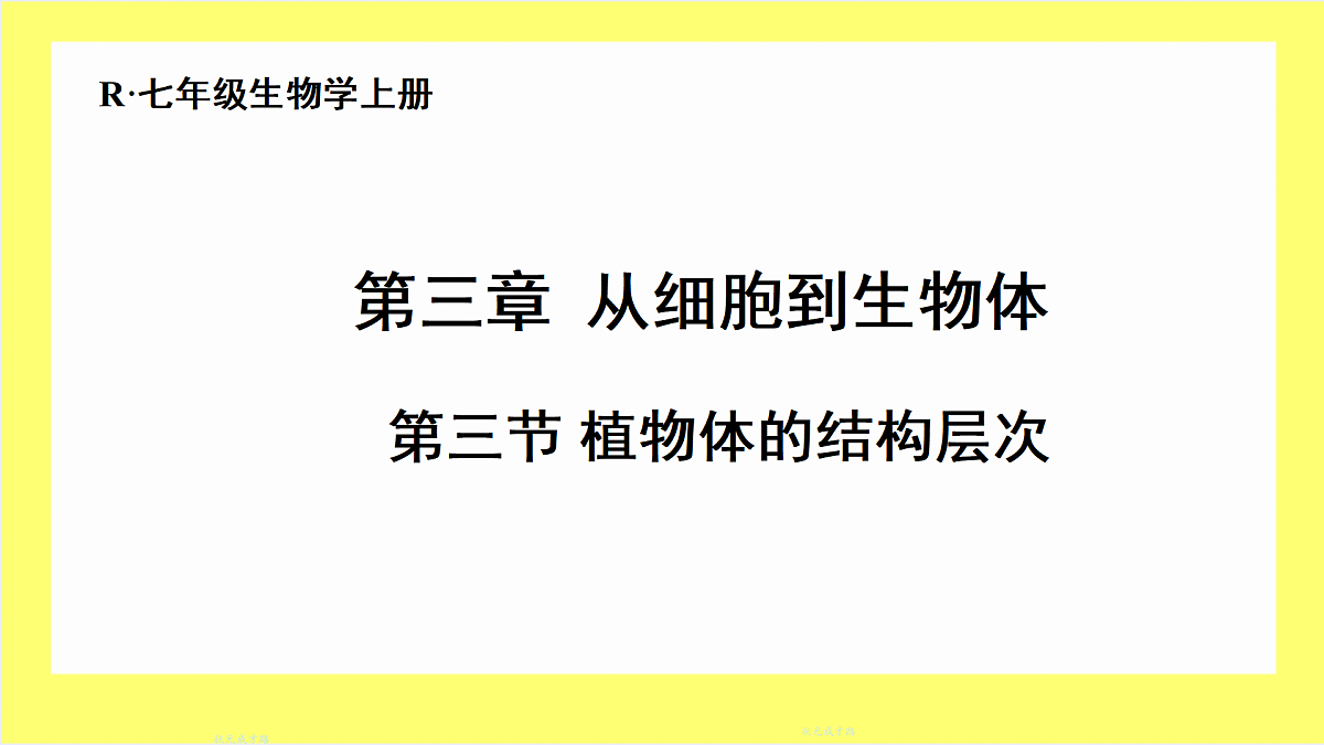 17359052第1页