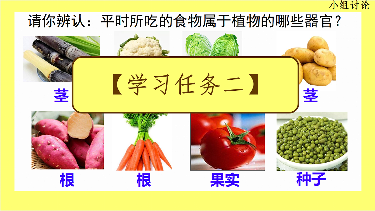 17359052第4页