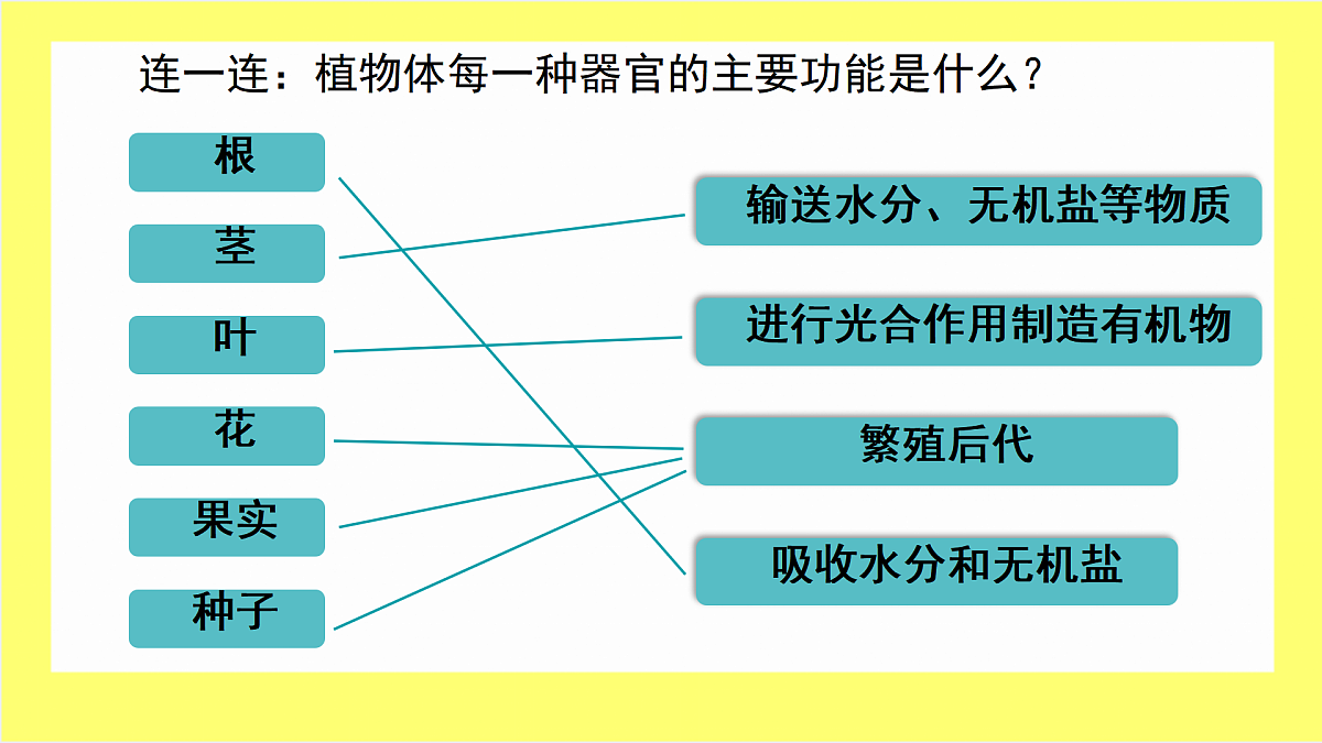 17359052第5页