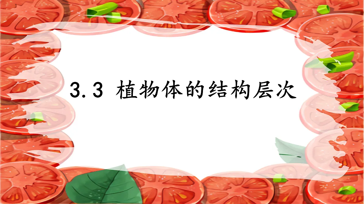 17359053第1页