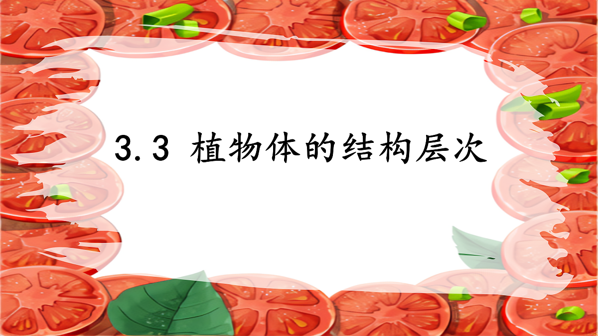 17359053第1页