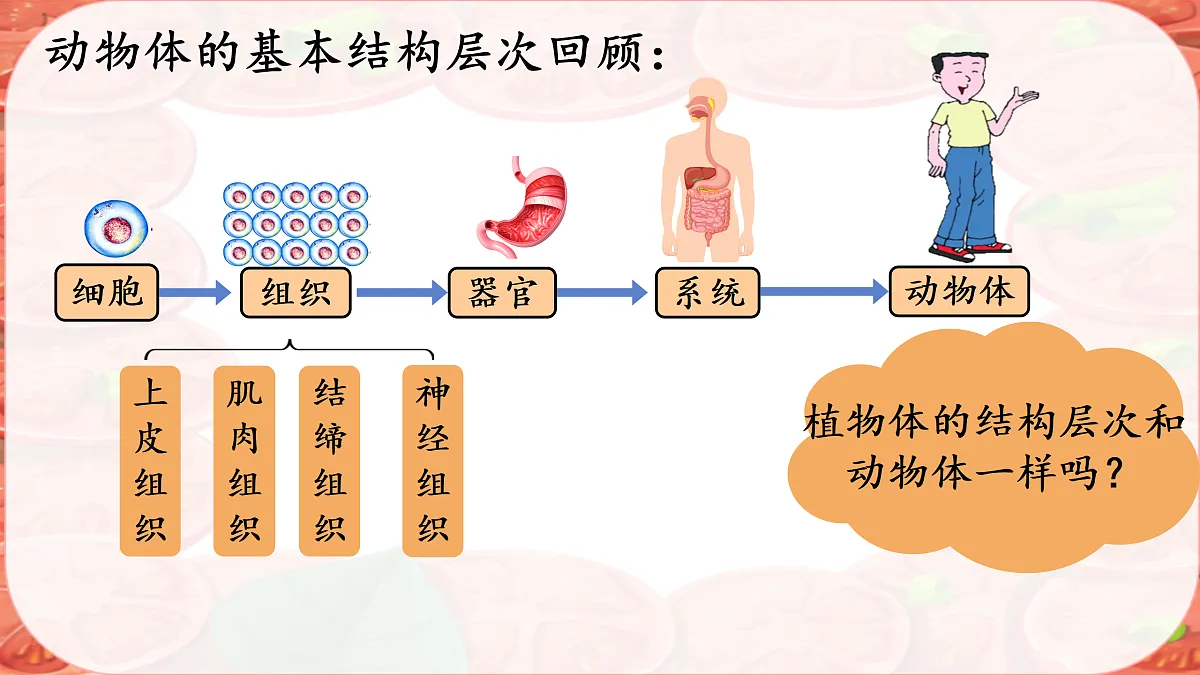 17359053第2页