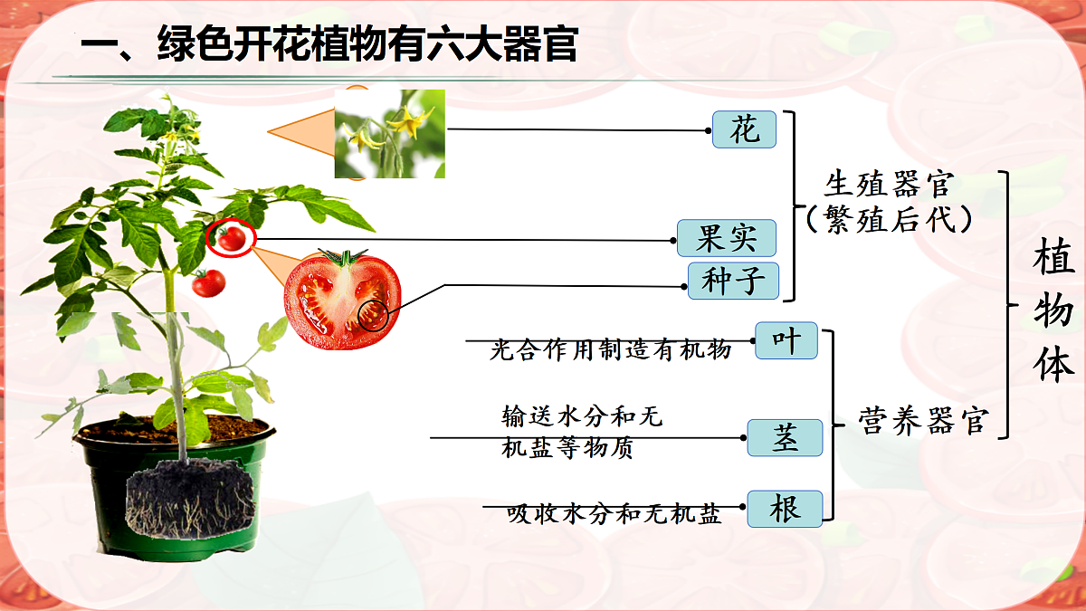 17359053第3页