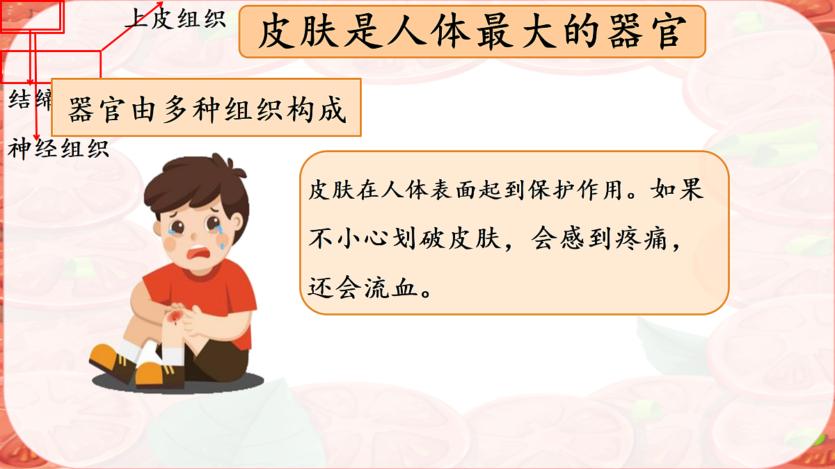 17359053第5页