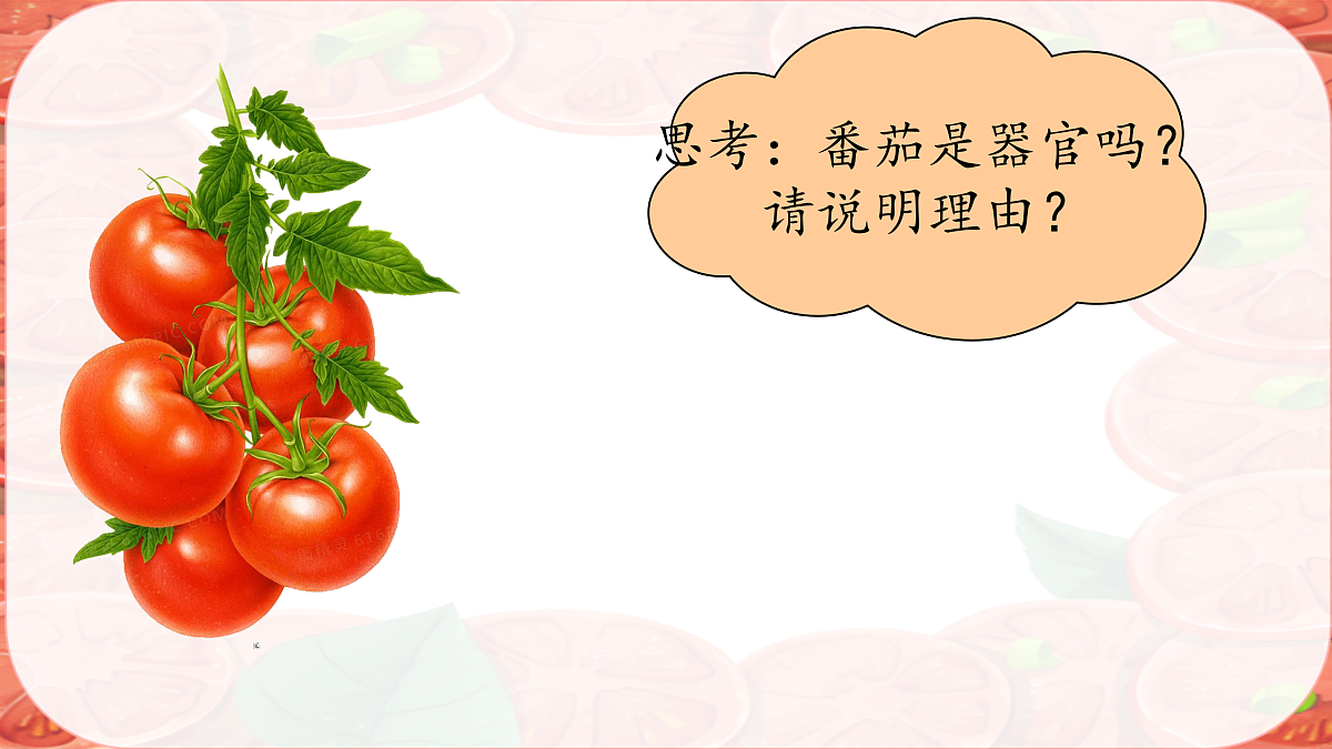 17359053第6页
