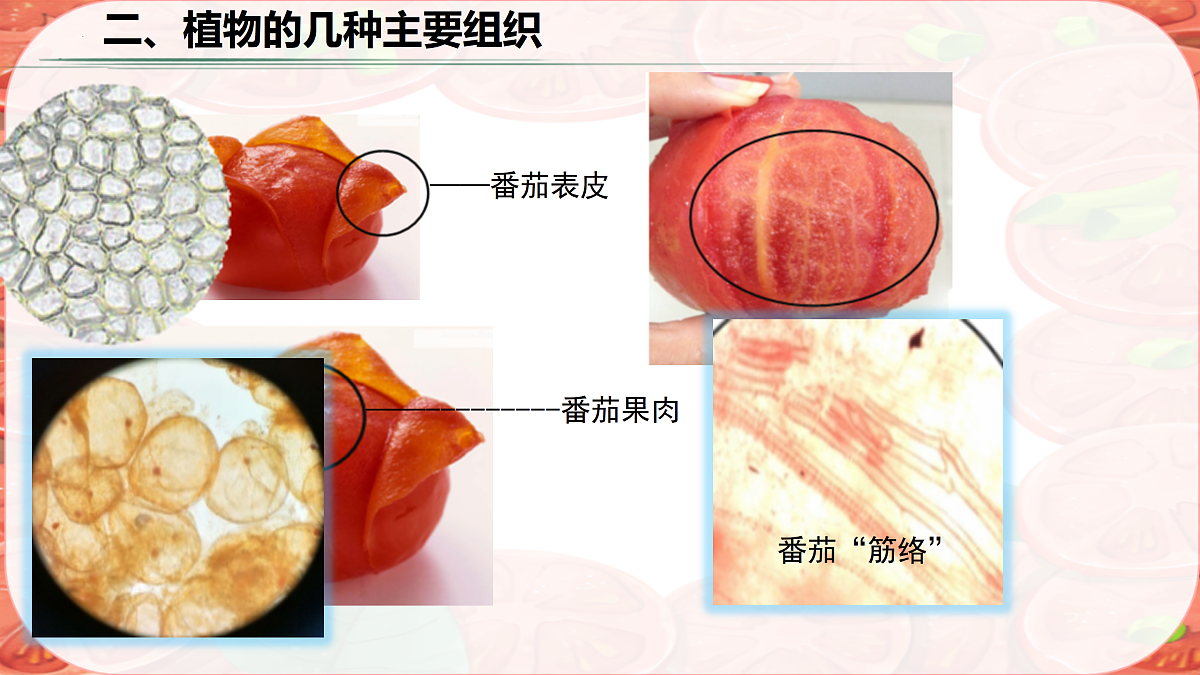 17359053第7页