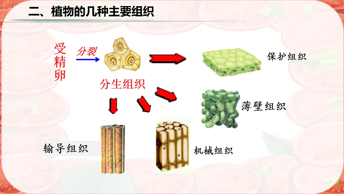 17359053第8页