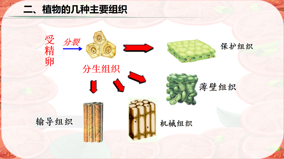 17359053第8页
